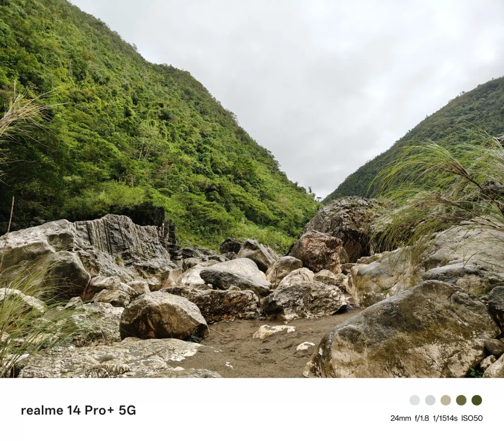 realme 14 Pro+ 5G Review: The Best All-Rounder Mid-Ranger? 56 realme 14 Pro+ 5G Camera review - Normal Mode
