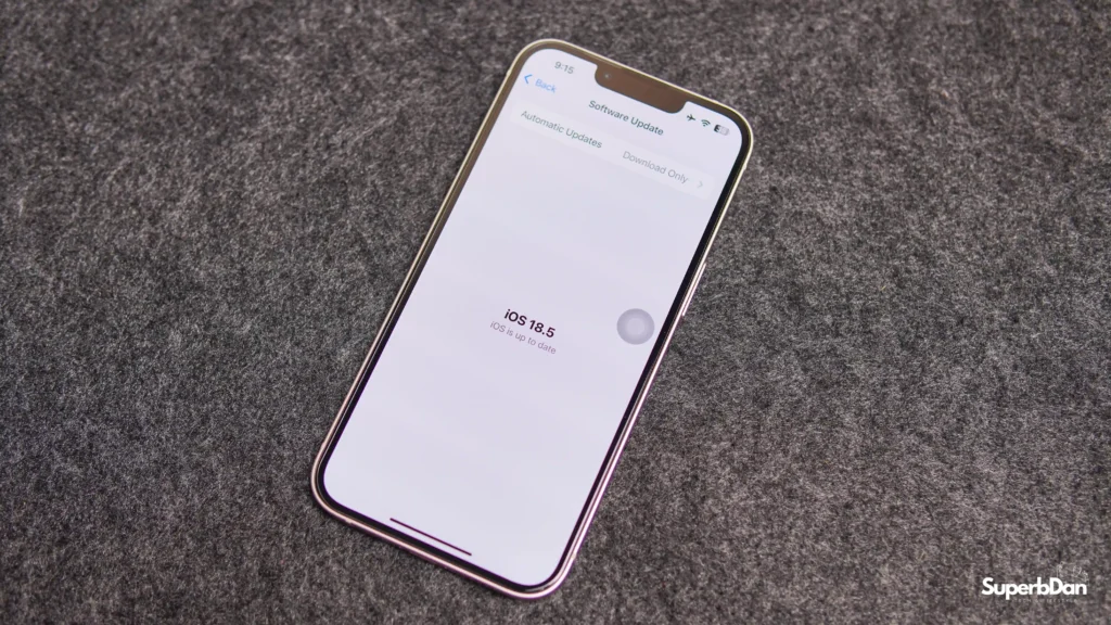 Buying iPhone 13 in 2025: Everything You Need to Know 4 iPhone 13 iOS 18.5